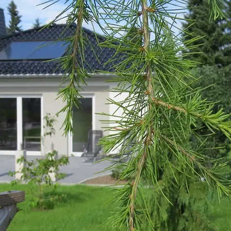 Casa de Férias Im Erzgebirge